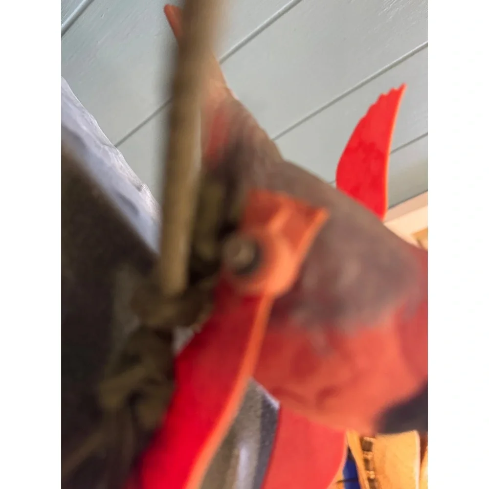 Rustic Cedar Wood Bird Feeder with Cardinal Wind Vane and Suet Cages